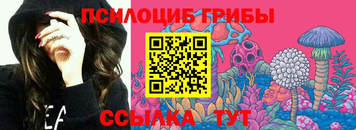 Псилоцибиновые грибы MAGIC MUSHROOMS  Вход с VPN  Кемерово 